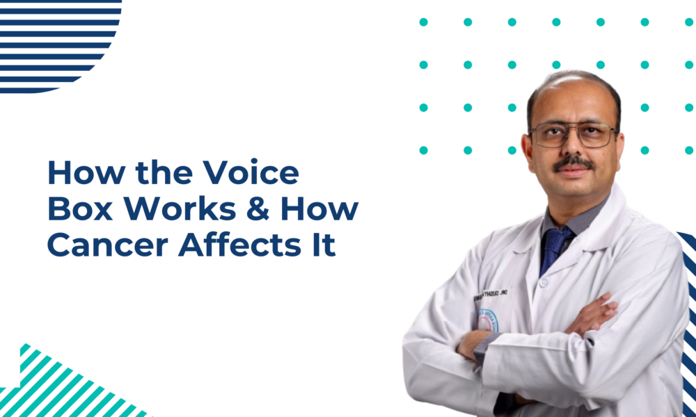 How the Voice Box Works & How Cancer Affects It
