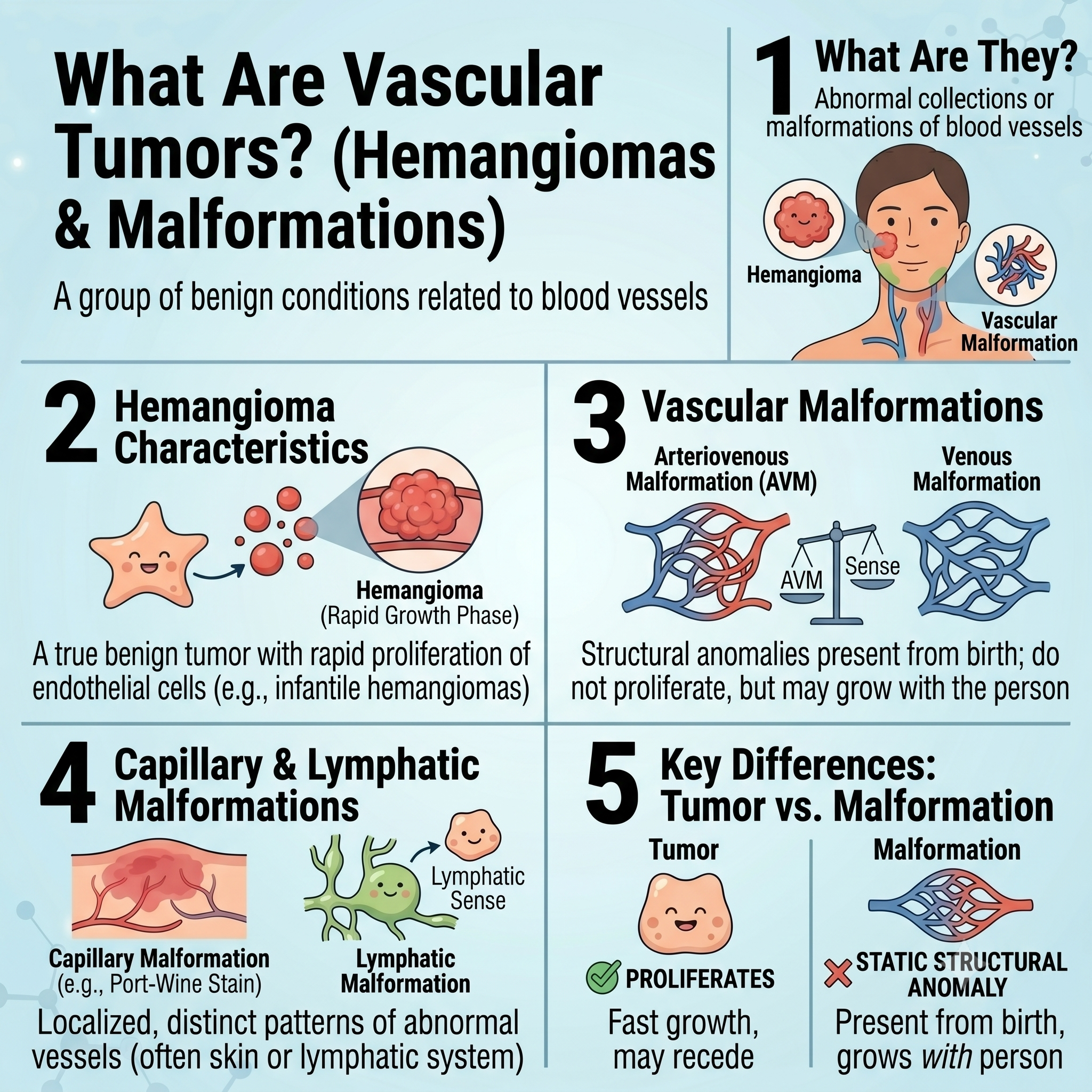 What Are Vascular Tumors? Hemangiomas & Vascular Malformations Explained 